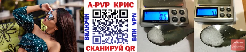 A PVP СК КРИС  Ковылкино 