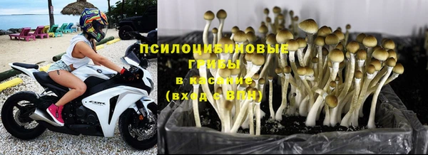 бутират Нефтекумск